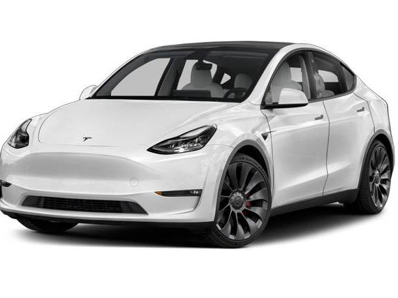 TESLA MODEL Y 2021 5YJYGDEE2MF139225 image